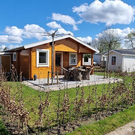 Nieuw - Luxe Blokhut Chalet In Bosrijke Omgeving Anloo Kültér fotó