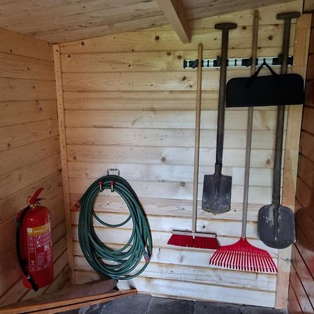 Nieuw - Luxe Blokhut Chalet In Bosrijke Omgeving Anloo Kültér fotó