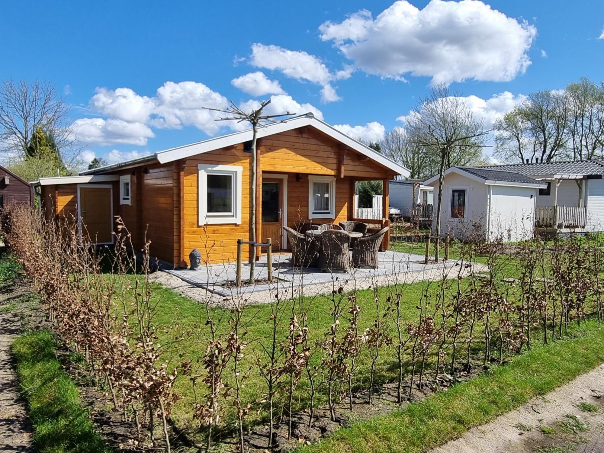 Nieuw - Luxe Blokhut Chalet In Bosrijke Omgeving Anloo Kültér fotó