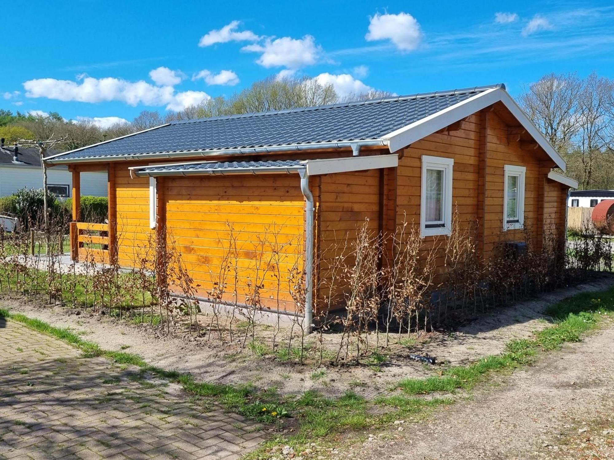 Nieuw - Luxe Blokhut Chalet In Bosrijke Omgeving Anloo Kültér fotó