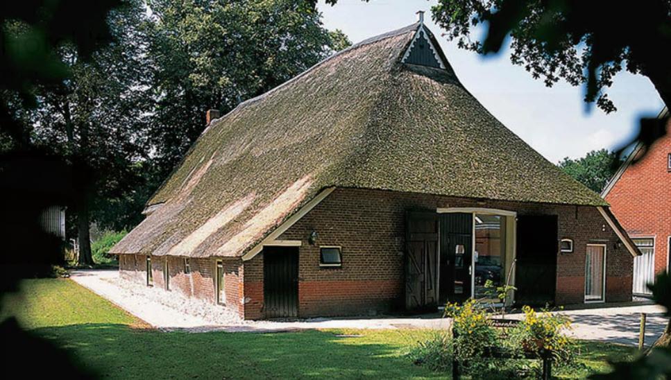 Nieuw - Luxe Blokhut Chalet In Bosrijke Omgeving Anloo Kültér fotó