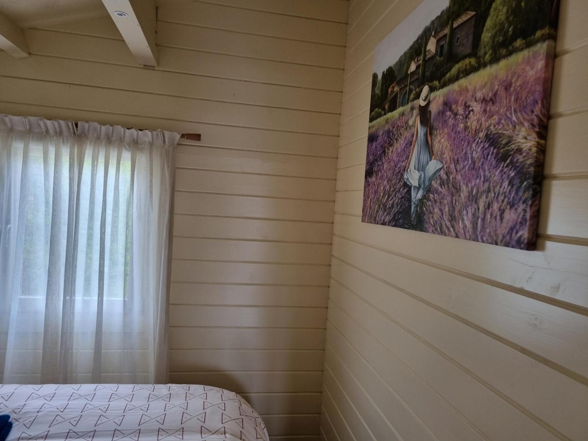 Nieuw - Luxe Blokhut Chalet In Bosrijke Omgeving Anloo Kültér fotó